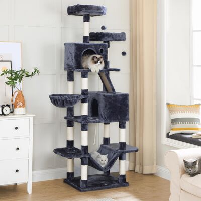 Grande XXL gatto boom