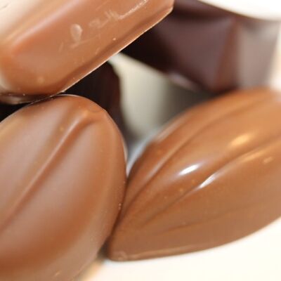 ASSORTED CHOCOLATE CANDY BALLOTINS