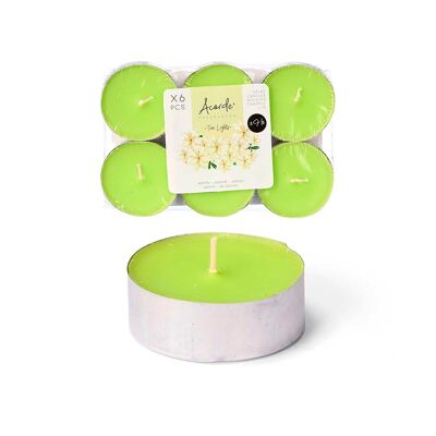 Lot de 6 bougies parfumées au jasmin. Durée : 9 heures. Couleur : Vert