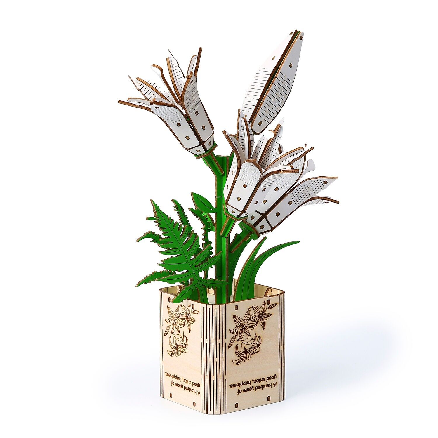 Modello 3D in legno, design Lily. 136 pezzi. Colore: Legno