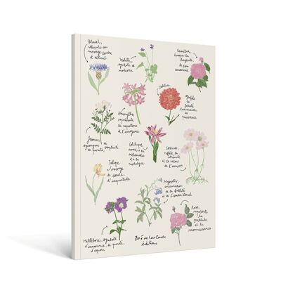 Cuaderno A4 Flores - Zoé de Las Cases
