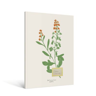 A5-Blumennotizbuch – Zoé de Las Cases