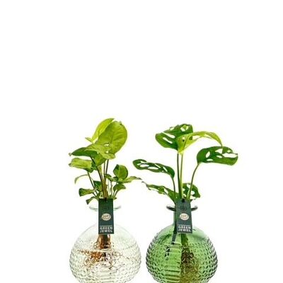 Plantes LOFE - Vase Jive M coloré - mélange par pièce