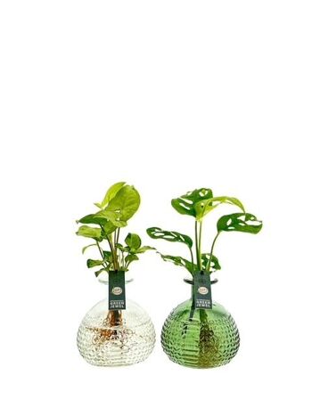 Plantes LOFE - Vase Jive M coloré - mélange par pièce