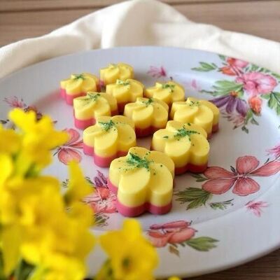 Frambuesa y piña - Colección de verano - 16g