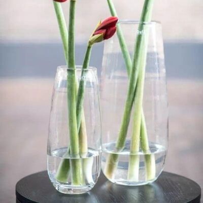 VASE ROBERT - CLAIR Couleur par DutZ