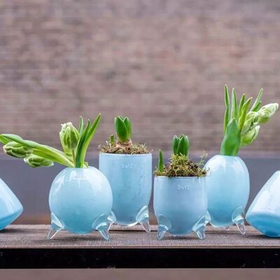 ENSEMBLE DE VASE EVITA