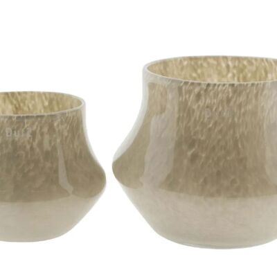 Orchidea VASO MARCO - TORTORA MARRONE