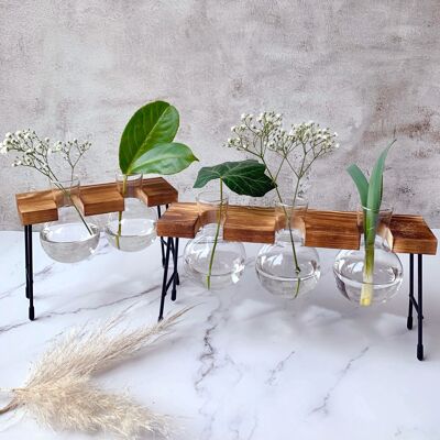Glass Planter Bulb Vase with Wooden Stand | Hydroponic Plant