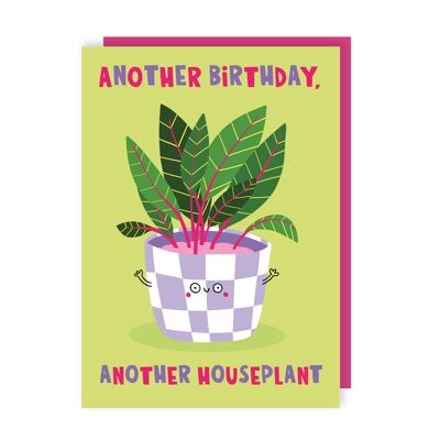 Un altro compleanno Un'altra pianta da appartamento Biglietto di auguri di compleanno Confezione da 6