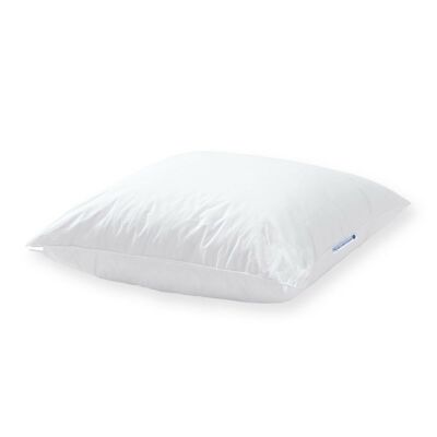 Oreiller en duvet 40x40 cm