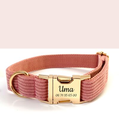 Collar de perro de pana coral personalizado