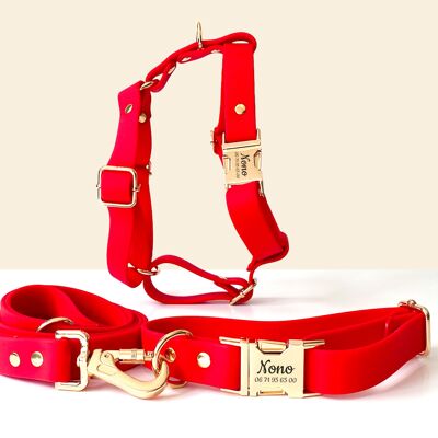 Kit Collier Harnais et Laisse Chien Personnalisé Biothane Rouge