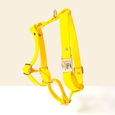 Pettorina per cani personalizzata in Biothane giallo