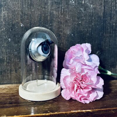 Montiertes Auge in Glaskuppel, ungewöhnliches Kuriositäten-Hausgeschenk