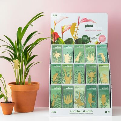 POS Multi Tiered Unit - Chameleon