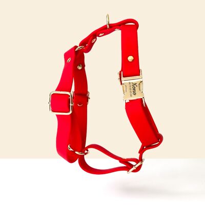 Pettorina personalizzata per cani in Biothane rosso