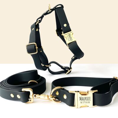 Kit de arnés y correa para perro personalizado de biotano negro
