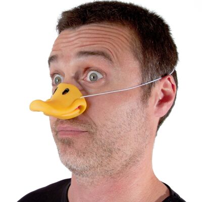 BEC CANARD