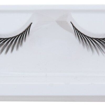 FALSE EYELASHES MY DOG