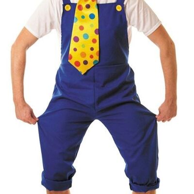BLUE OVERALLS