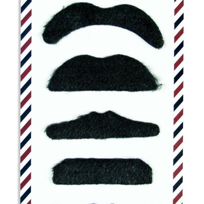 MOUSTACHE PARTY (SET DE 6 MOUSTACHES NOIRES)