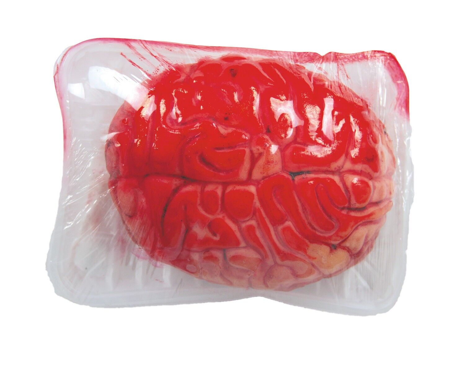 CERVELLO XL NEL VASSOIO