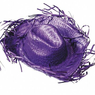 CAPPELLO DA COWBOY CARAIBICO VIOLA
