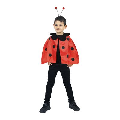 Insieme della coccinella