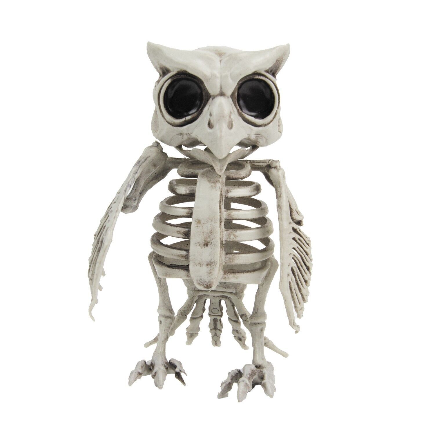 SCHELETRO DI GUFO 17CM