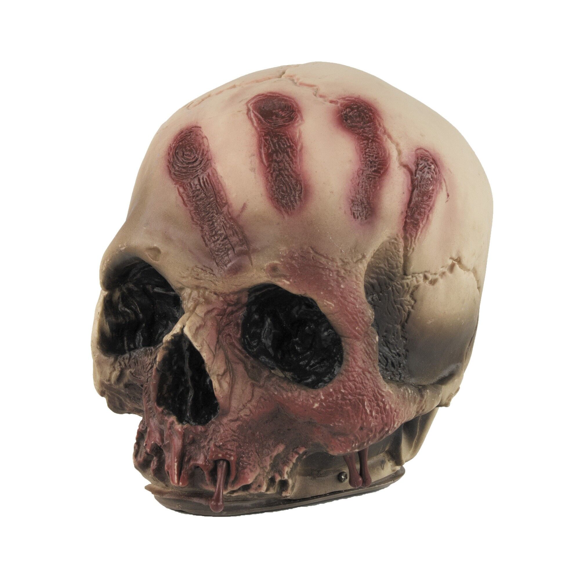 TESCHIO INSANGUINATO