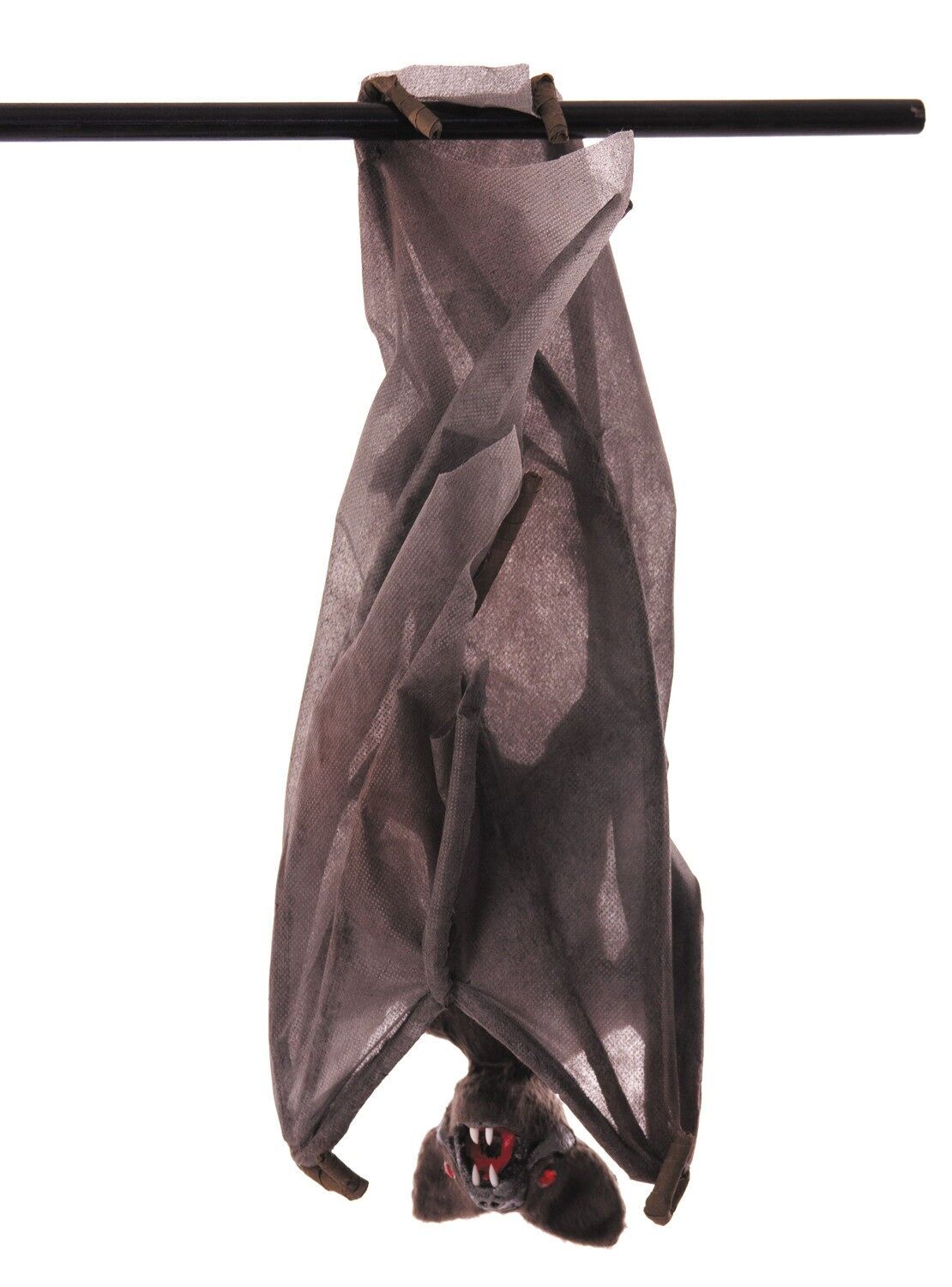 PIPISTRELLO CON LE ALI PIEGATE