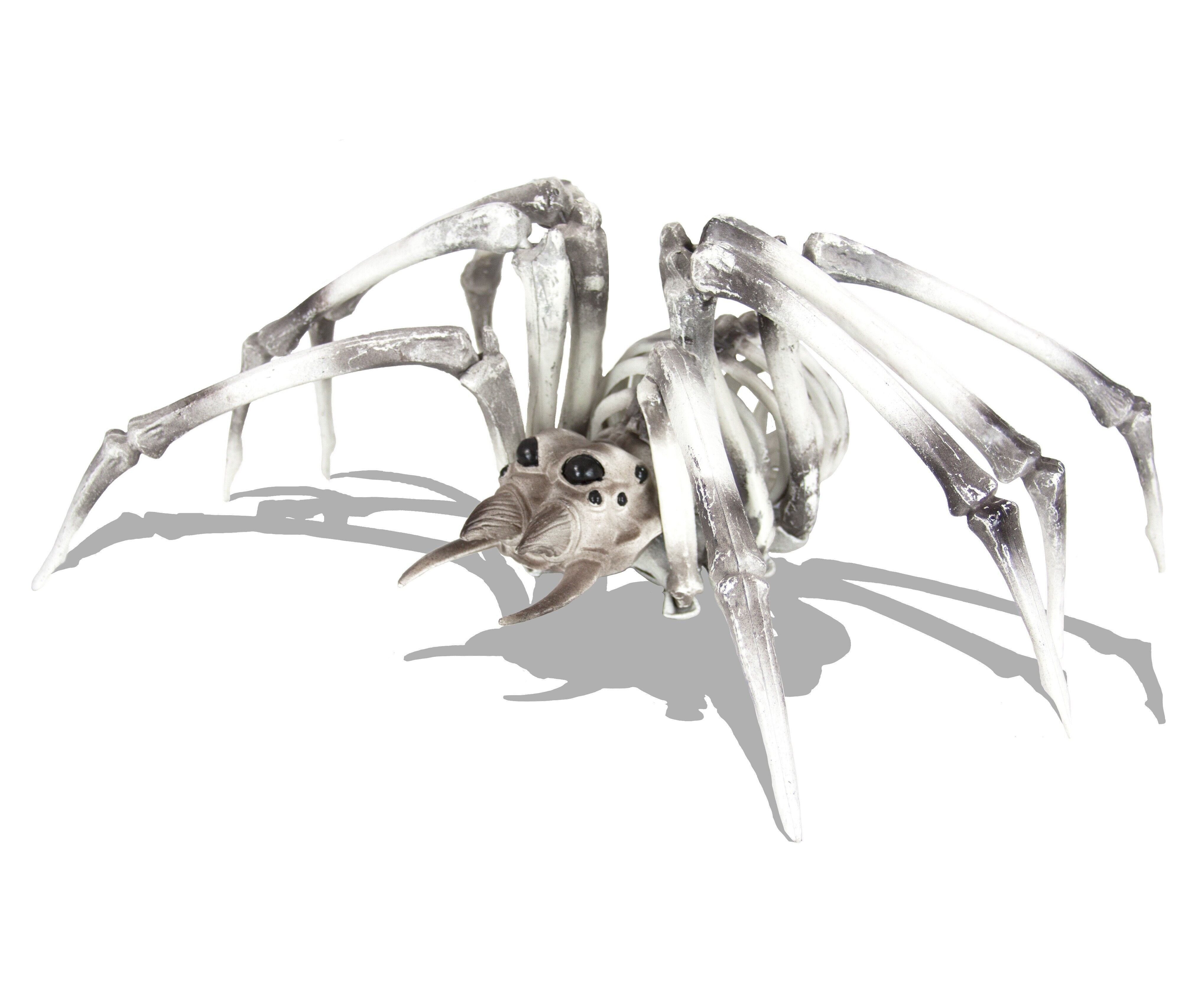 Scheletro di ragno XXL