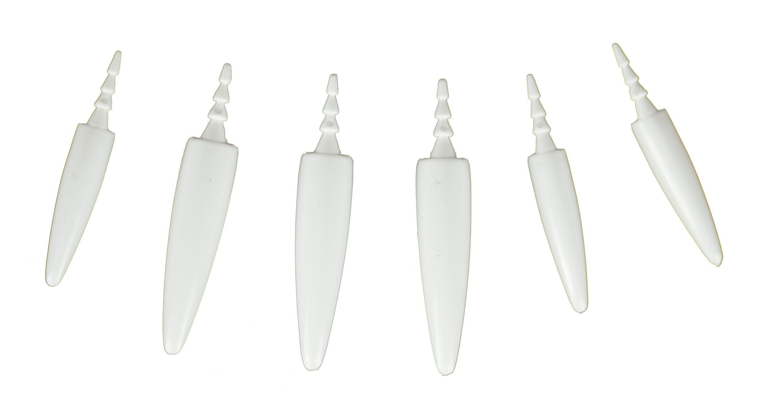 SET DI 20 DENTI DI ZUCCA