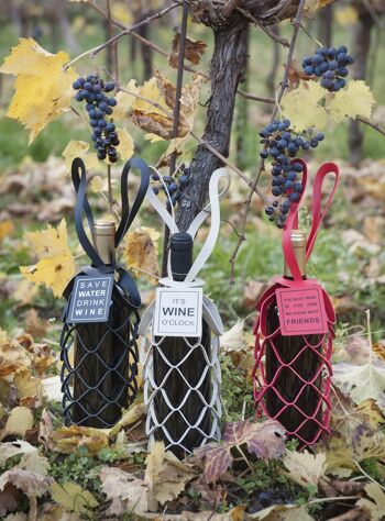 SET - Emballage bouteille VINSTRIP® + TAG rouge "Le meilleur vin..." 9