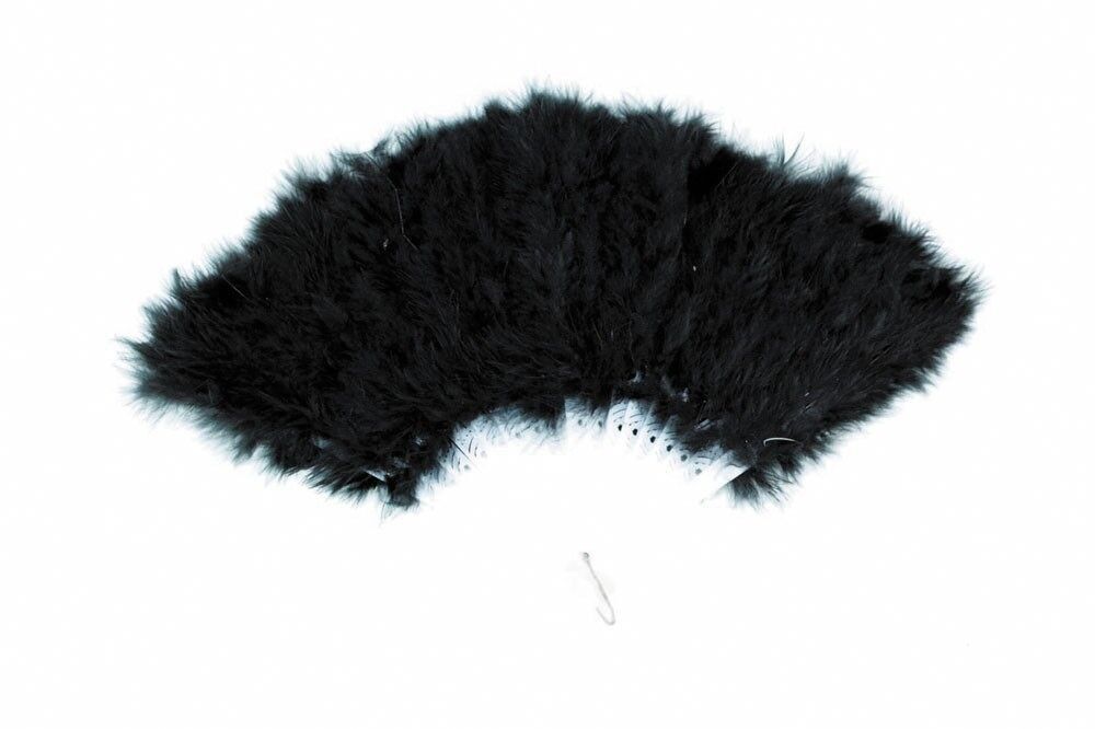 VENTAGLIO DI PIUME NERE