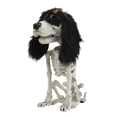SCHELETRO DI UN PICCOLO CANE SEDUTO 25CM
