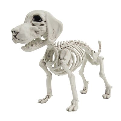 SCHELETRO DI CANE PICCOLO 26CM