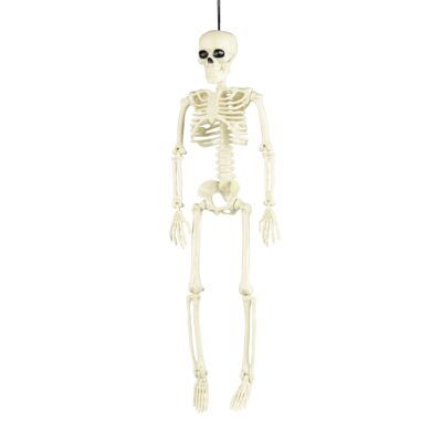 ESQUELETO 40CM