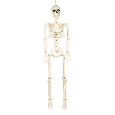 ESQUELETO 90CM