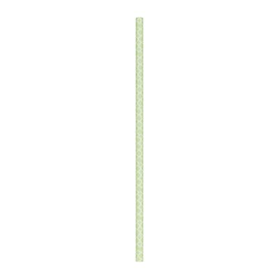 SET OF 10 RETRO PASTEL GREEN STRAWS