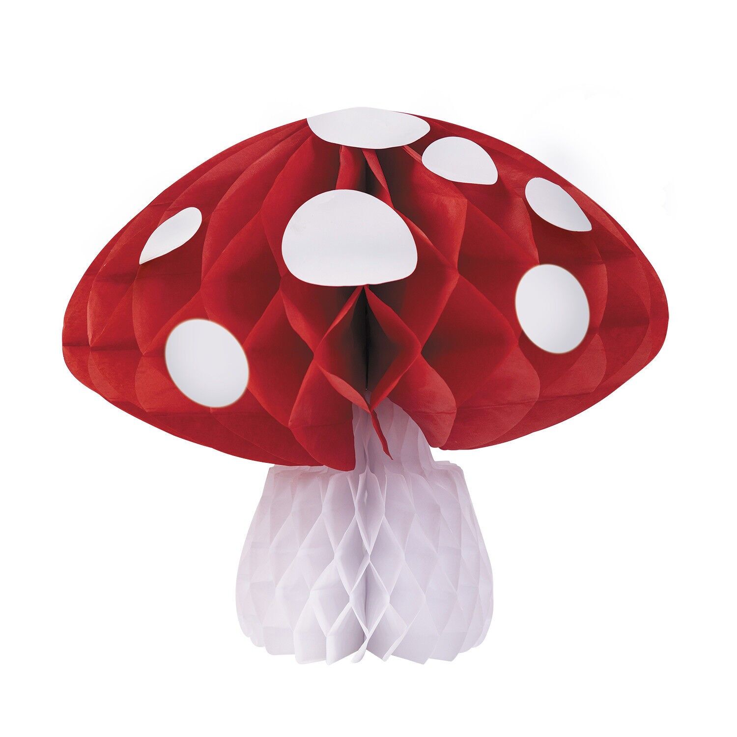 FUNGO A NIDO D'APE DEL BOSCO