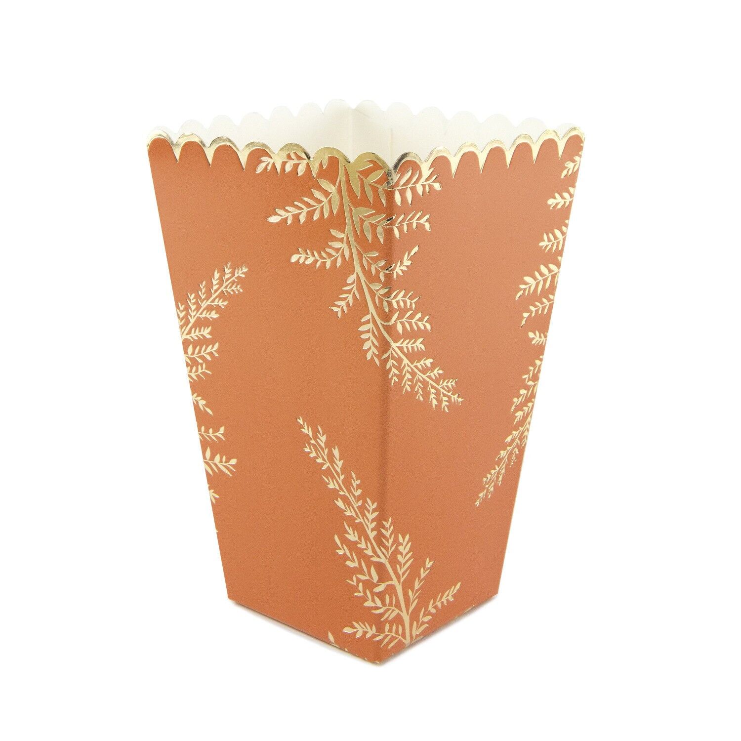 Popcornboxen Fougère Terracotta x 8
