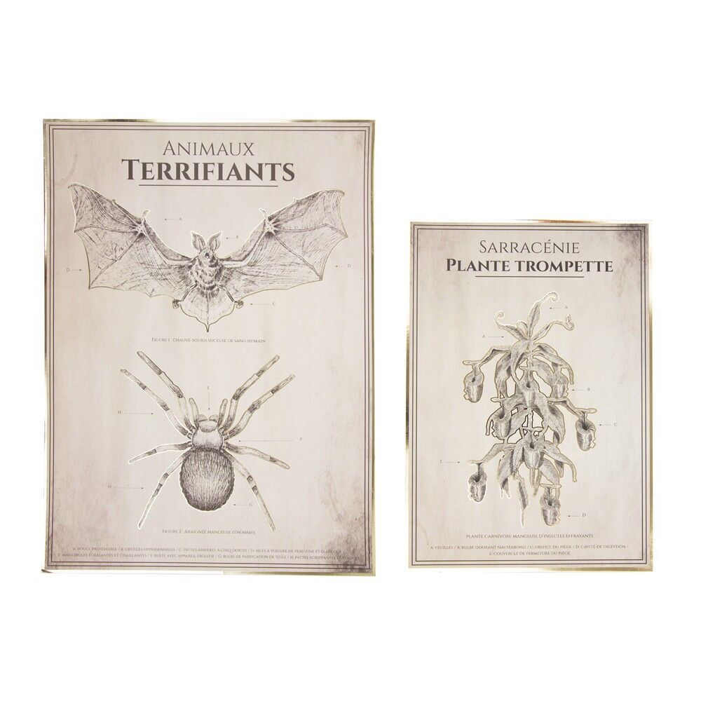 ANIMAL ANATOMY POSTERS CABINET OF CURIOSITIES X2