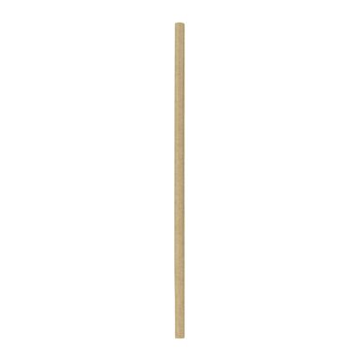 JUEGO DE 10 PAJITAS KRAFT