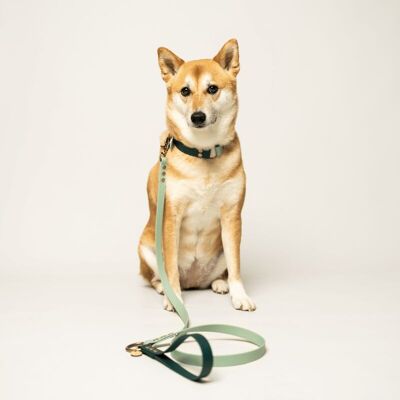 LAISSE POIGNEE POUR CHIEN BIOTHANE VERT D'EAU ET VERT EMERAUDE