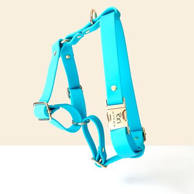 Harnais Chien Personnalisé Biothane Bleu