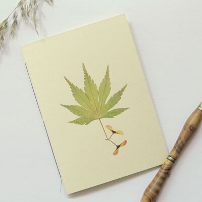Carnet herbier A6 • Erable du japon (feuille)
