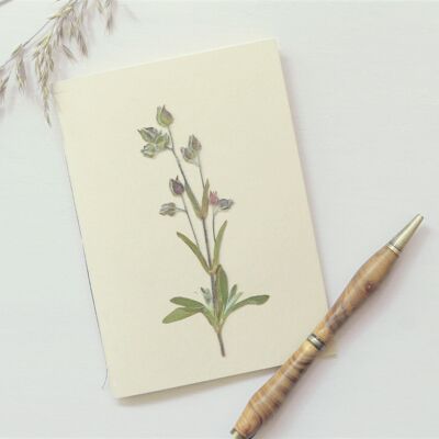 Cuaderno de herbario de flores A6 • Jara rosa