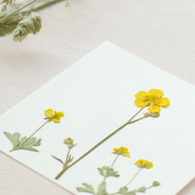 Erbario floreale: Bouquet d'oro • Biglietto 10x10 cm